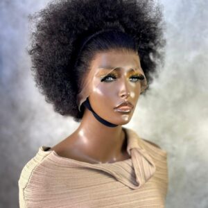 Afro Kinky Double Drawn Wig